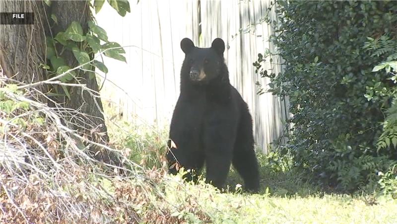 Screenshot 2025-09-25 at 1.06.44 PM.png