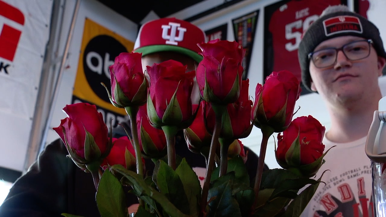 iu rose bowl fans 3.jpg