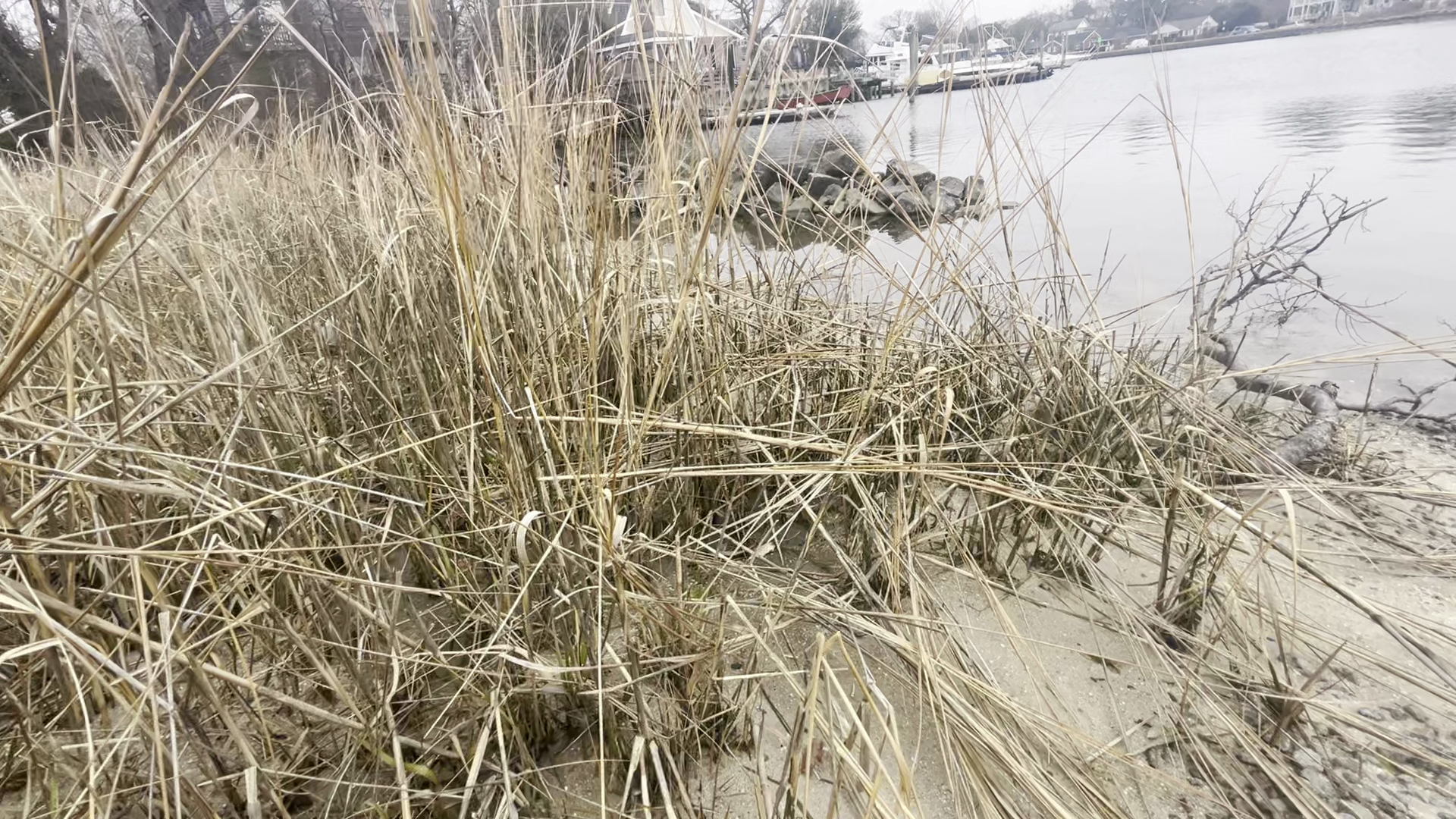 Elizabeth River Project