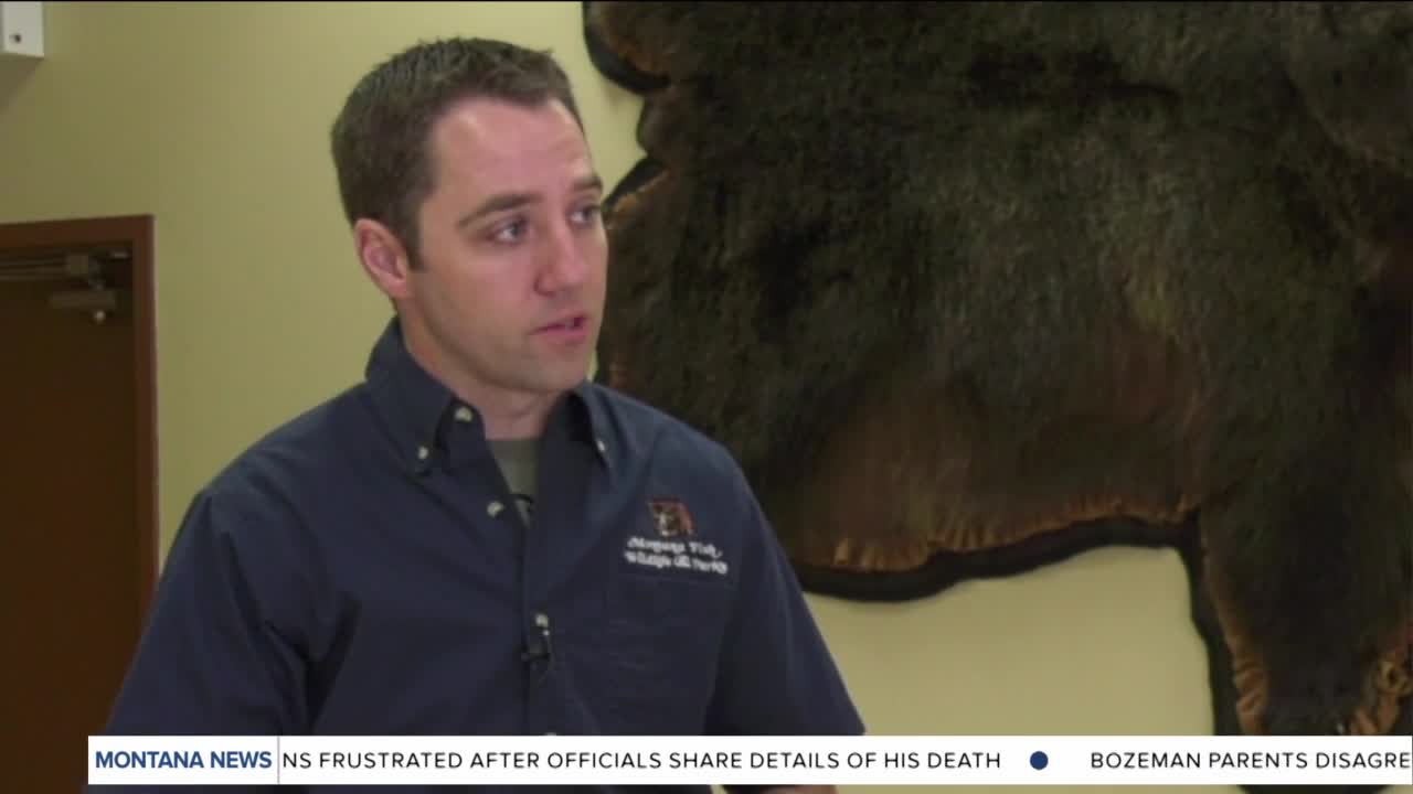 Poster image (5).jpg