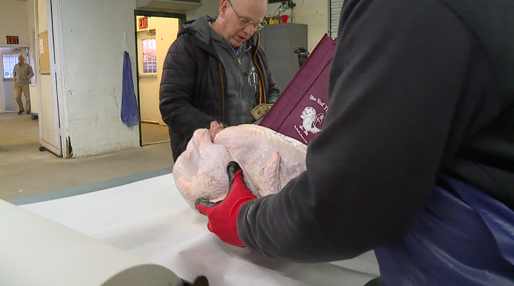 Screenshot 2024-11-25 at 9.05.45 PM.png