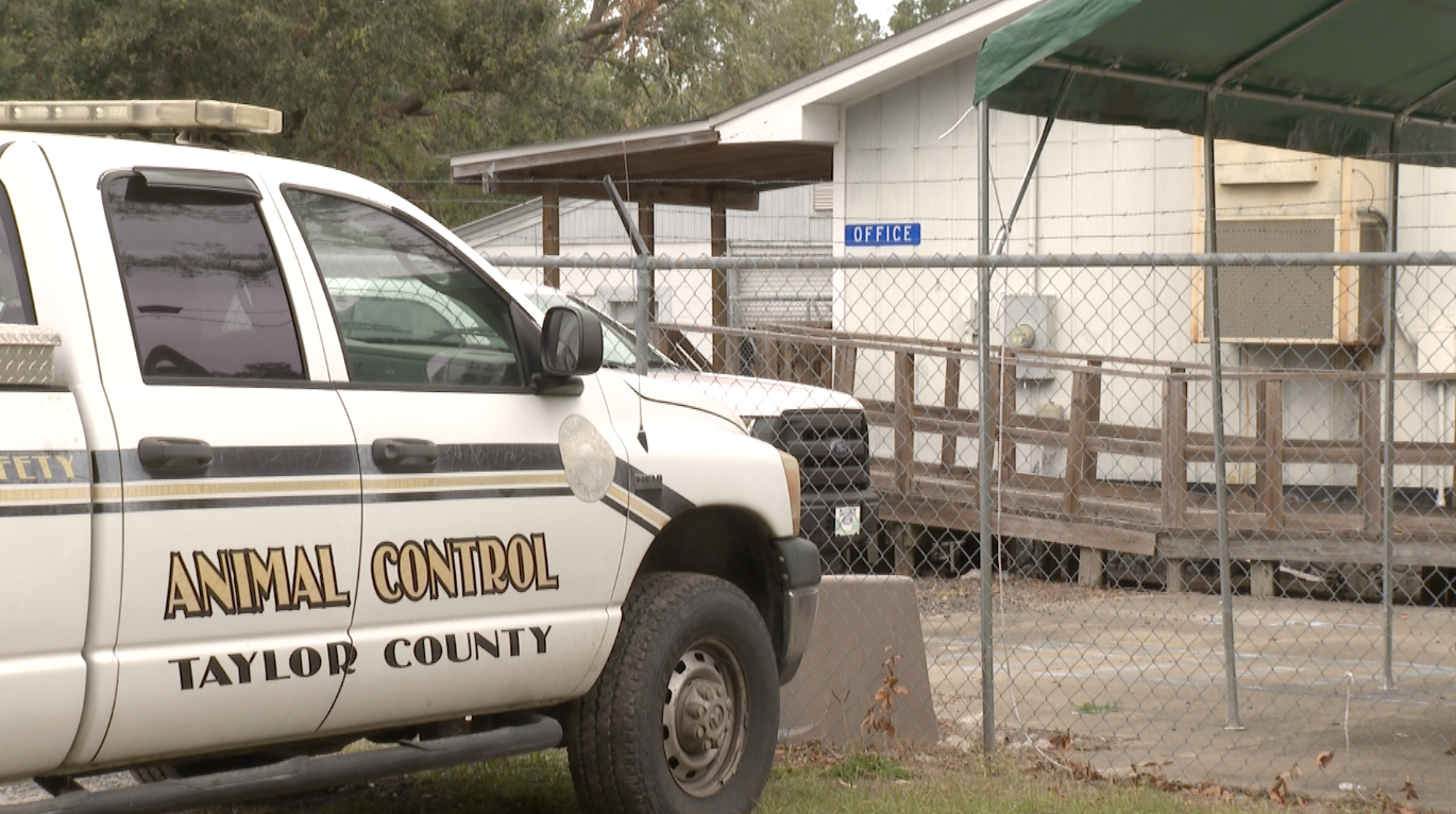 Discussions took place Tuesday over how to improve Taylor County Animal Control 