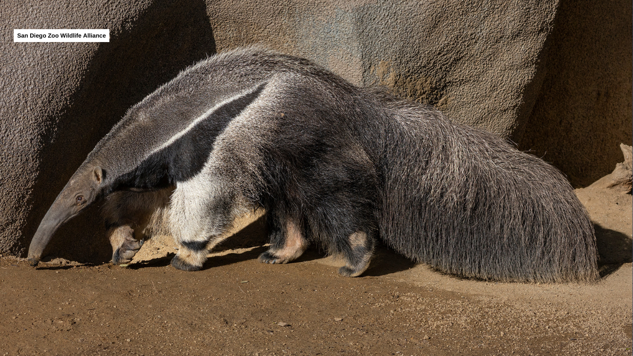 Laura Garcia 12/11/2025