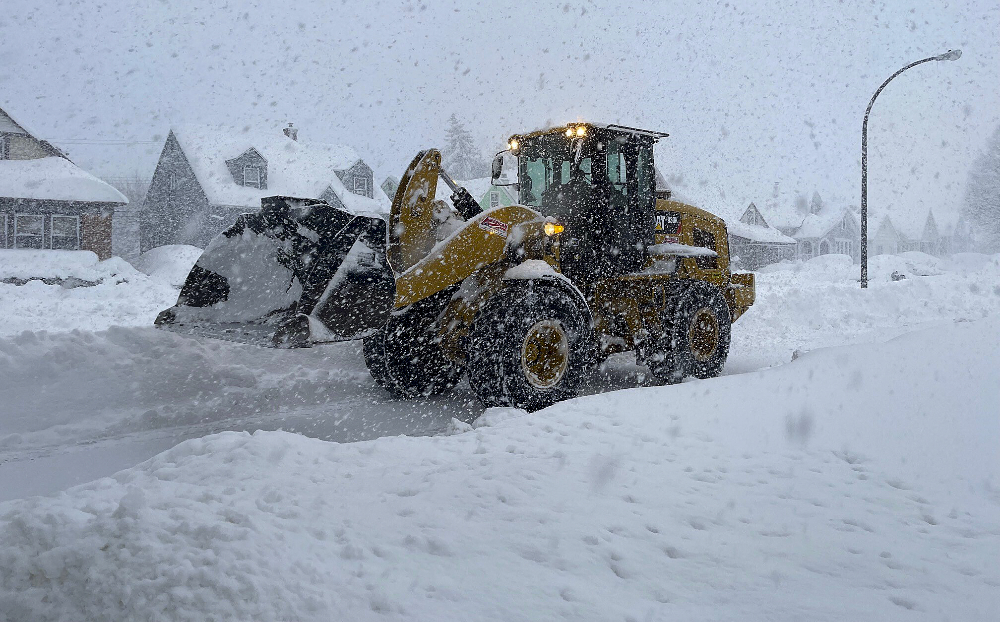 Buffalo Digging Out