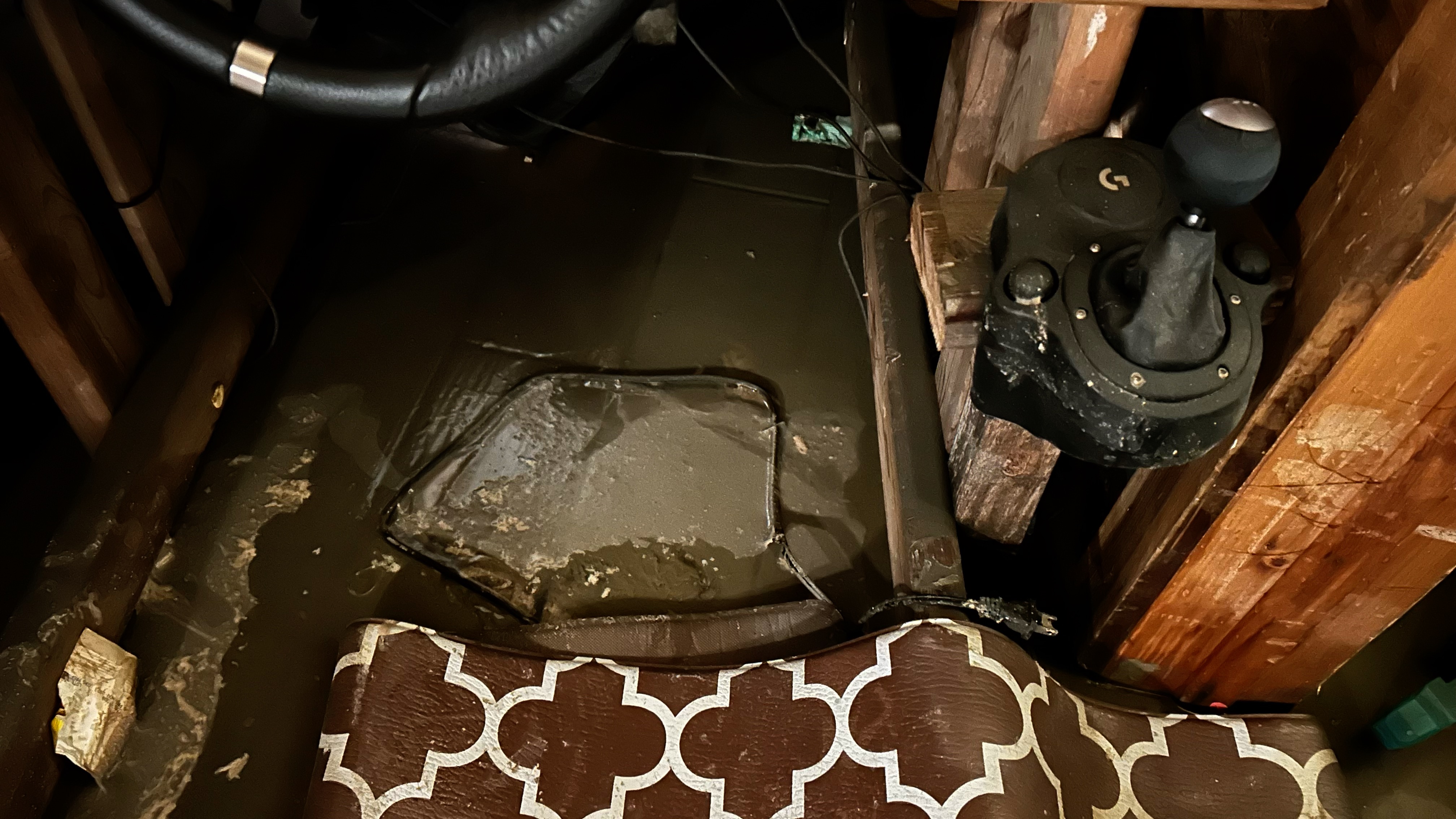 Sewage backup