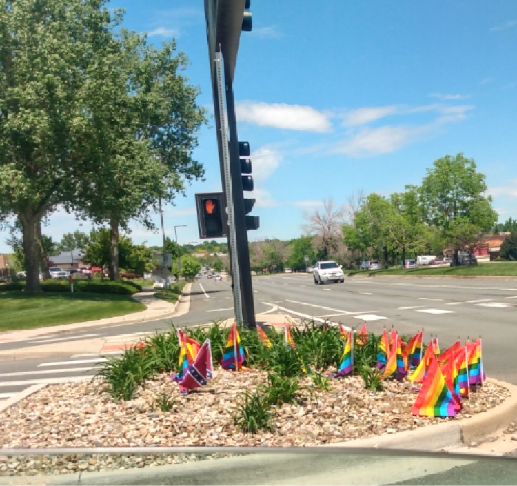 pride_confederate flag_louisville.jpeg