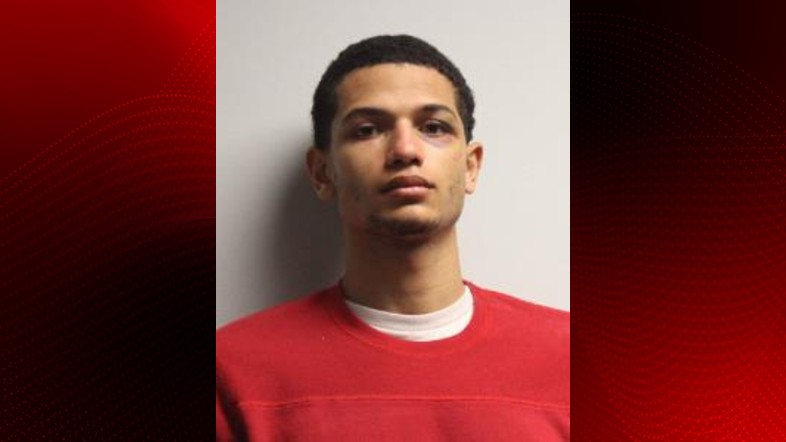 RPSO - Steven Melina.jpg