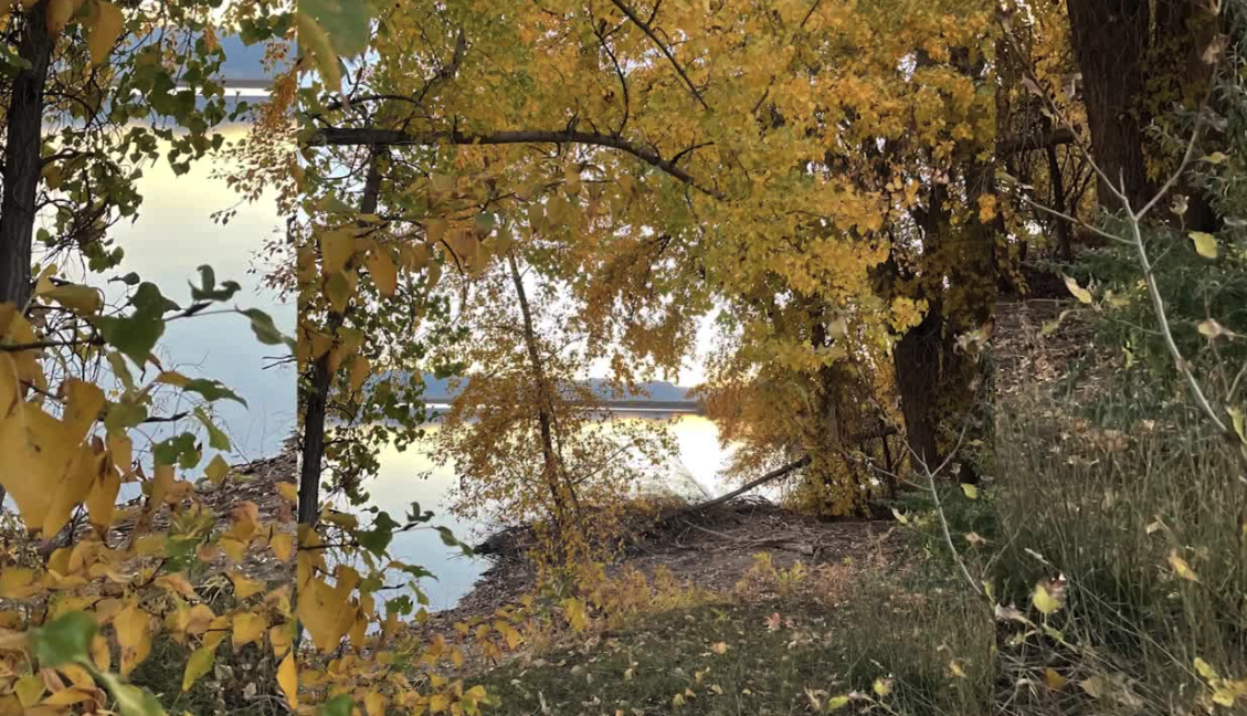Weather Wise Fall Recap