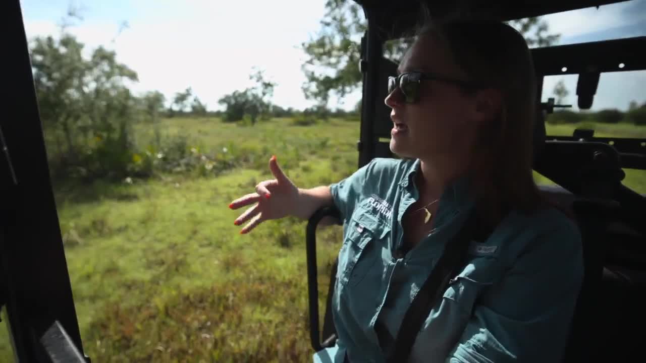 Florida Wildlife corridor