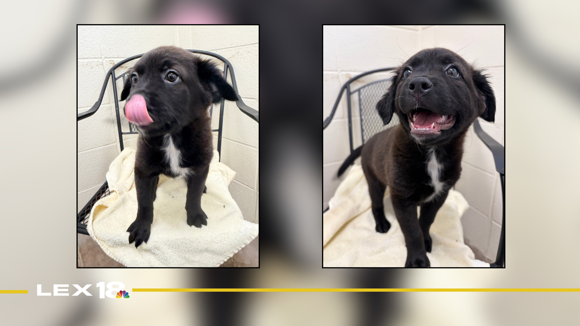 Featured Image Custom Edit (23).png