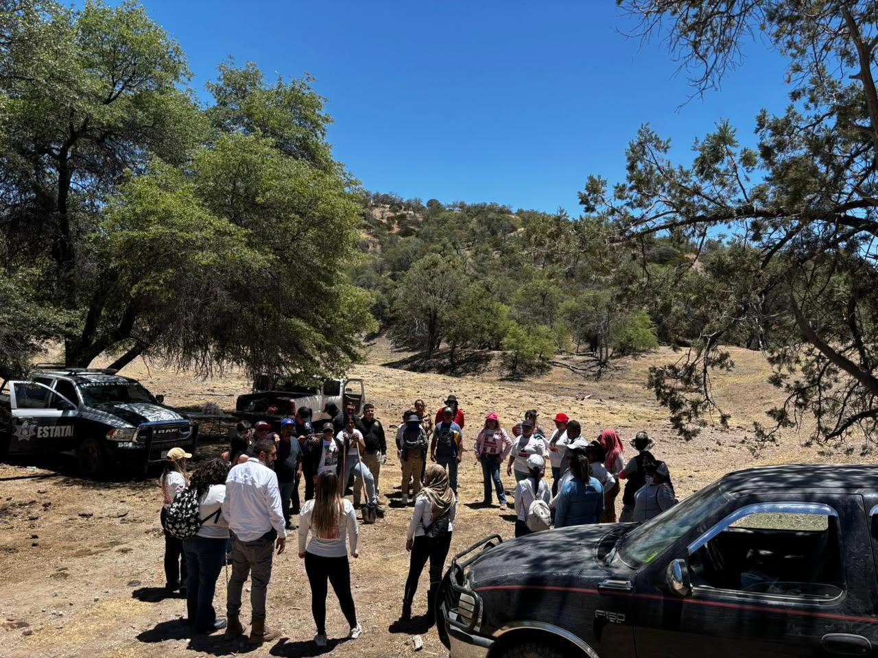 Mexico Search for Nancy 3.jpg