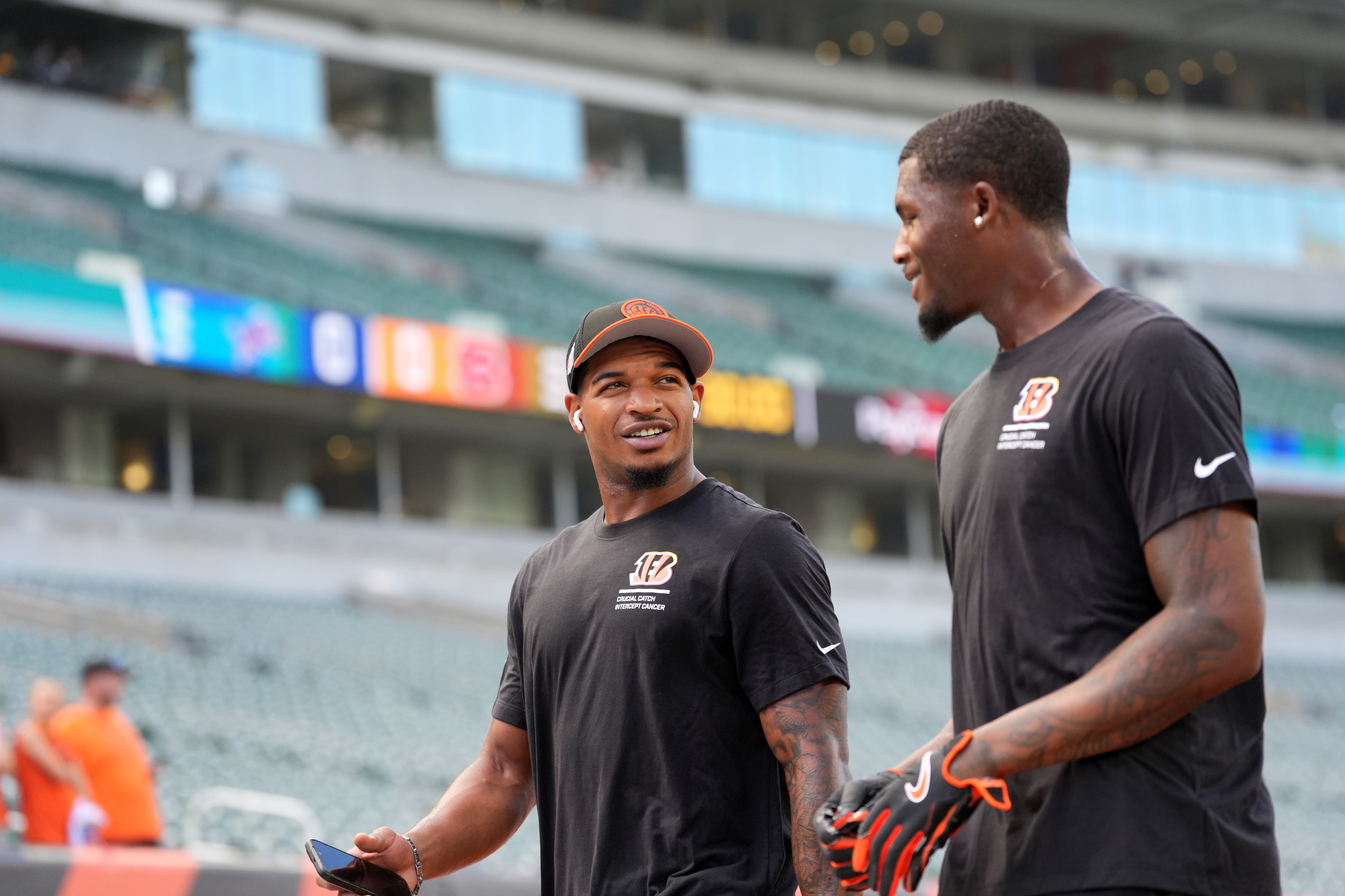 Lions Bengals Football 