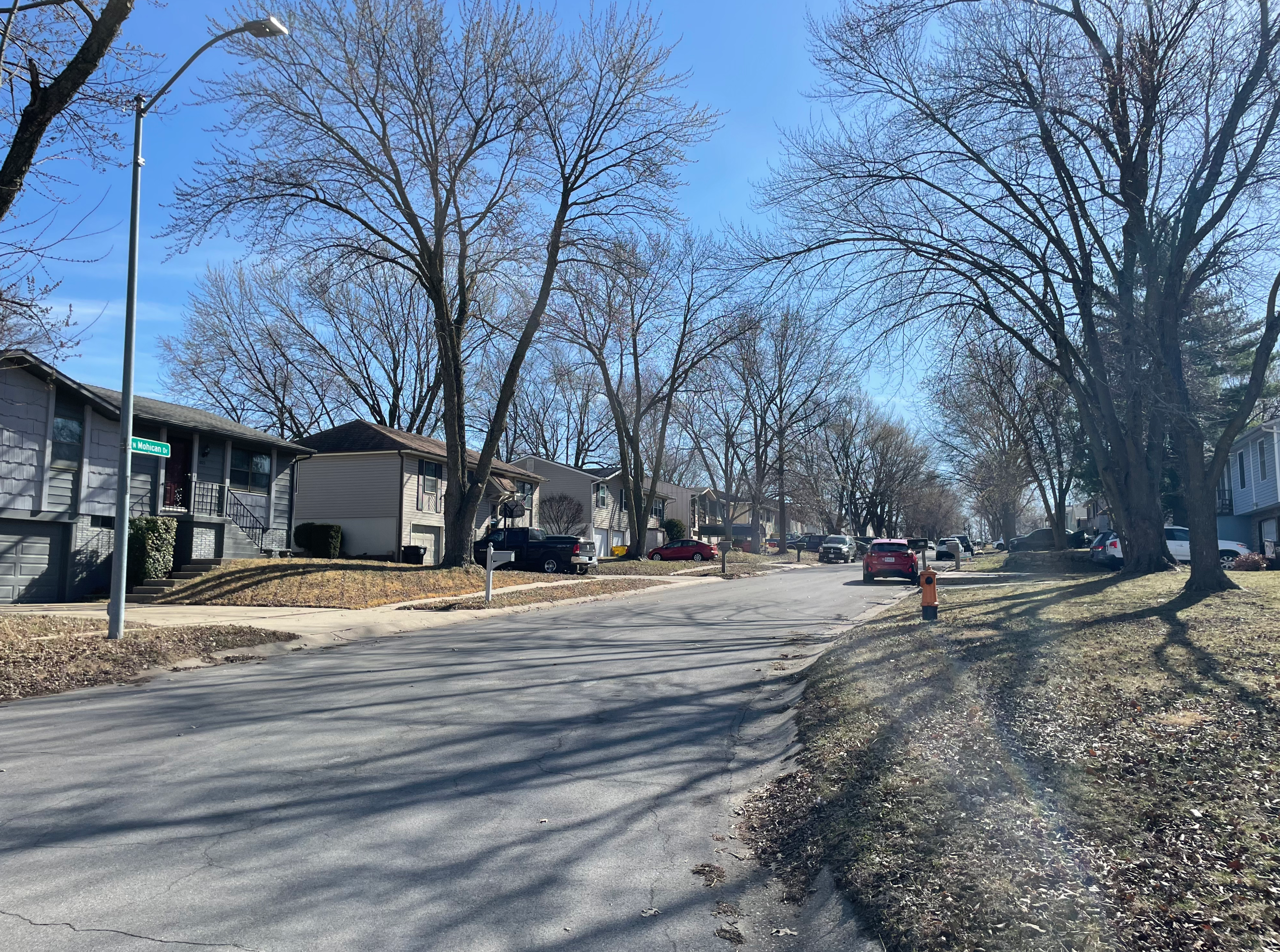 Independence Dog Maul.HEIC