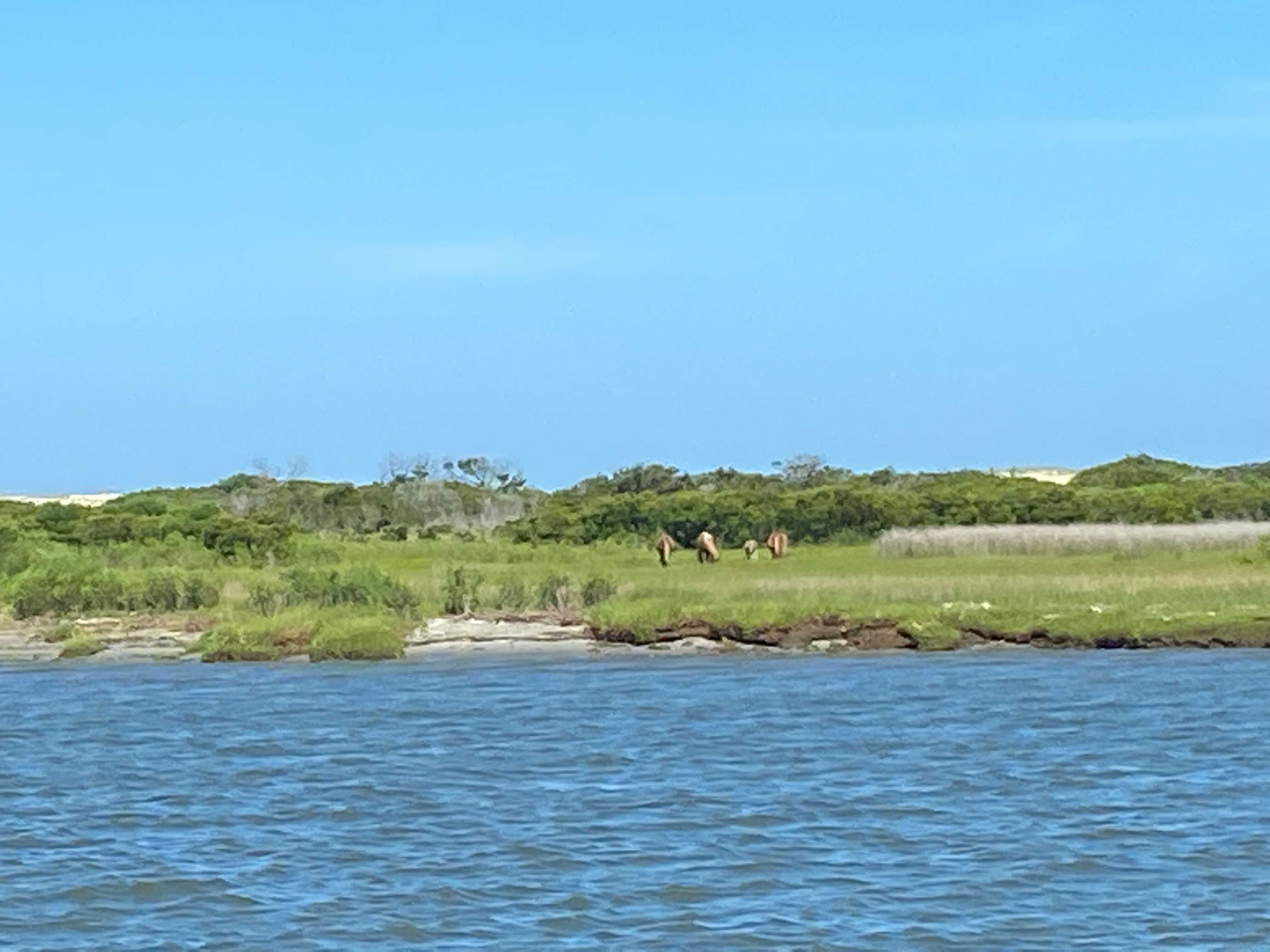 Assateague Island wide shot