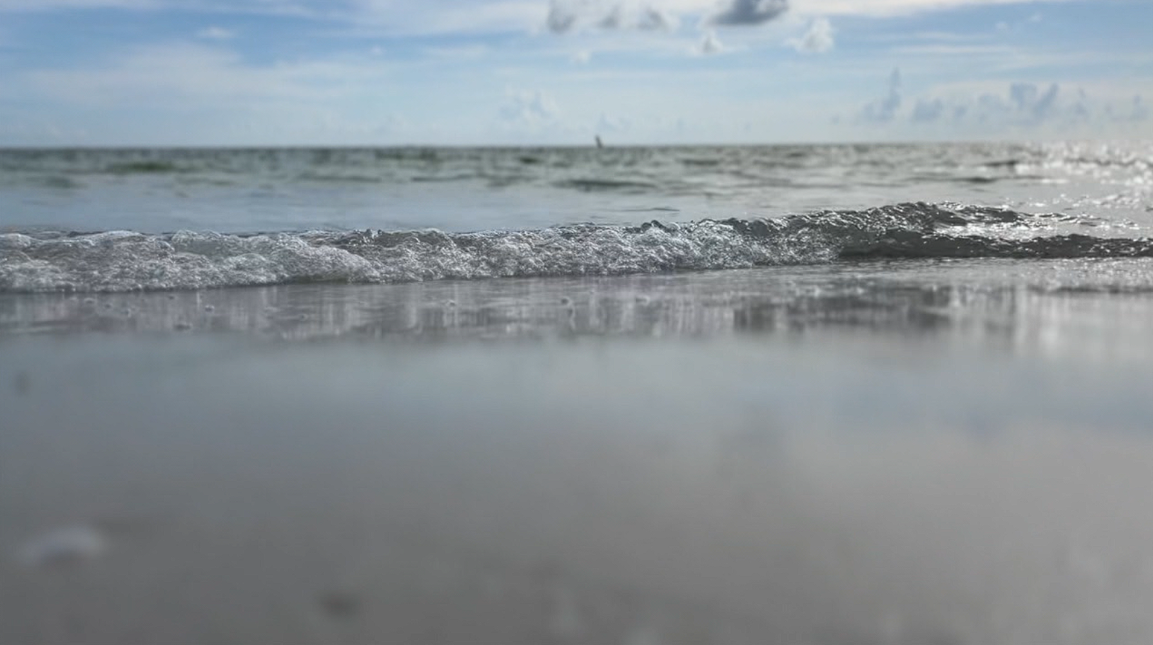 beach,ocean generic.PNG