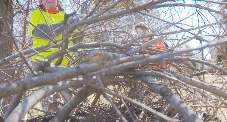 hands on nashville cleanup
