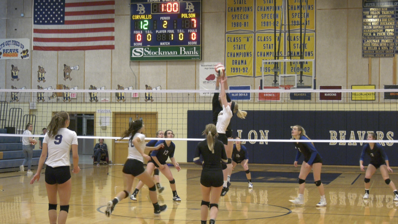 Western A volleyball 2019