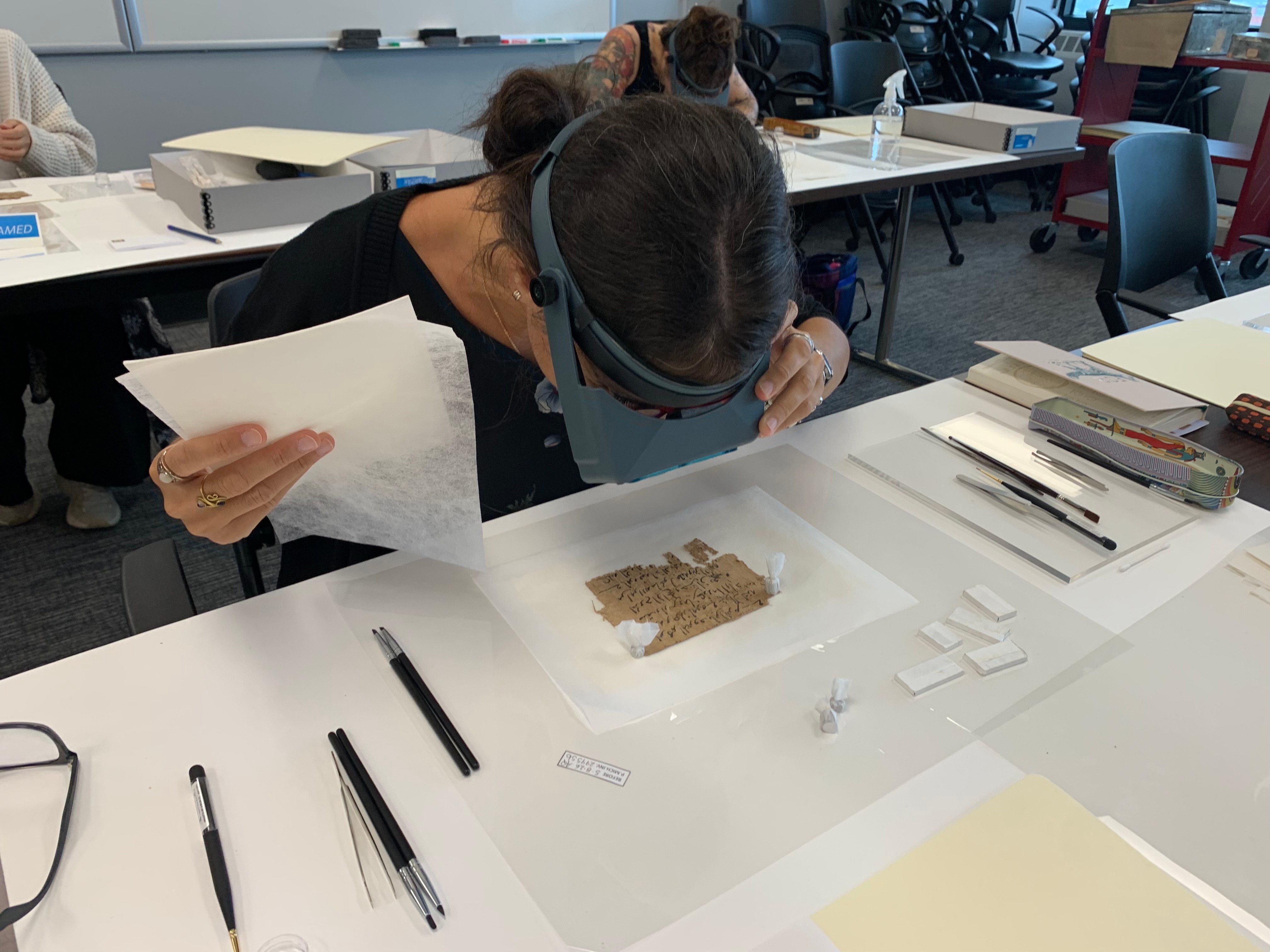 Conserving Papyri