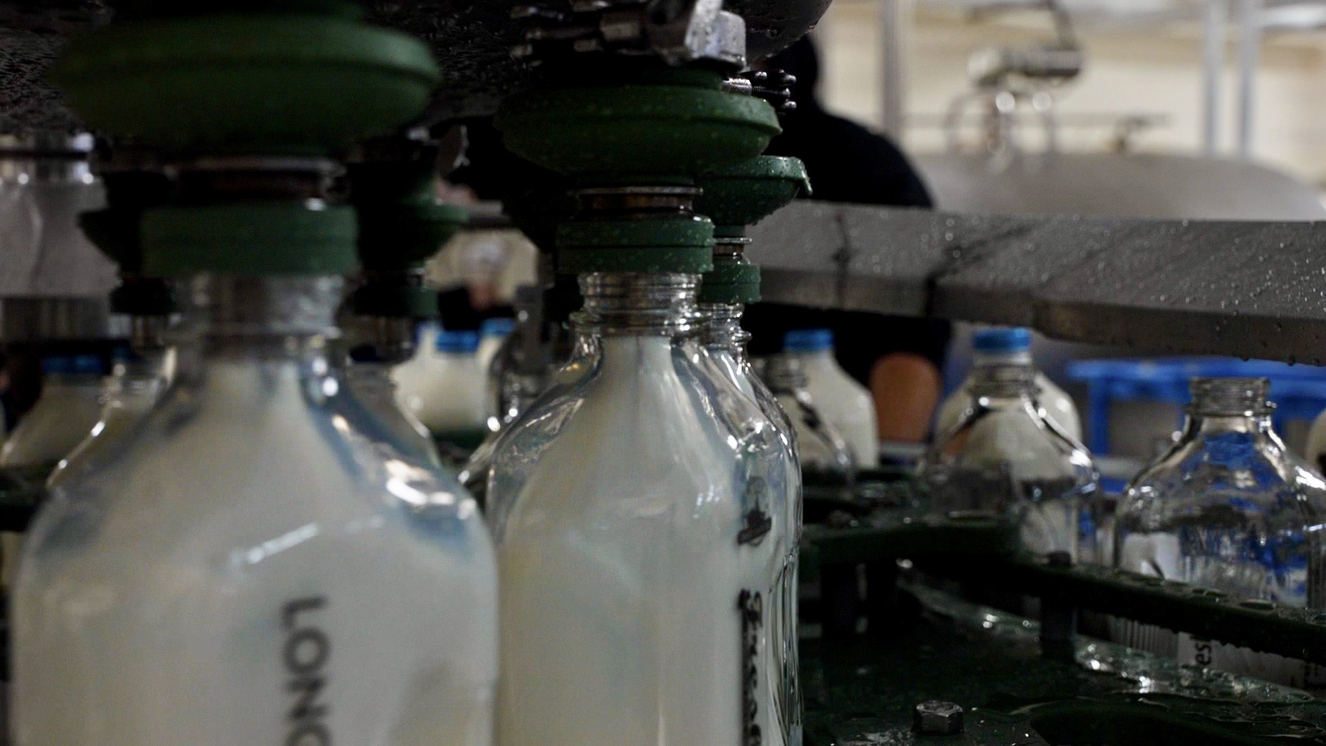 Longmont Dairy bottles.jpg