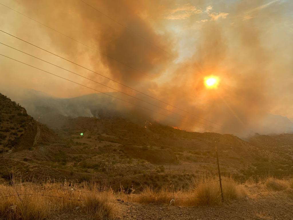 Telegraph Fire