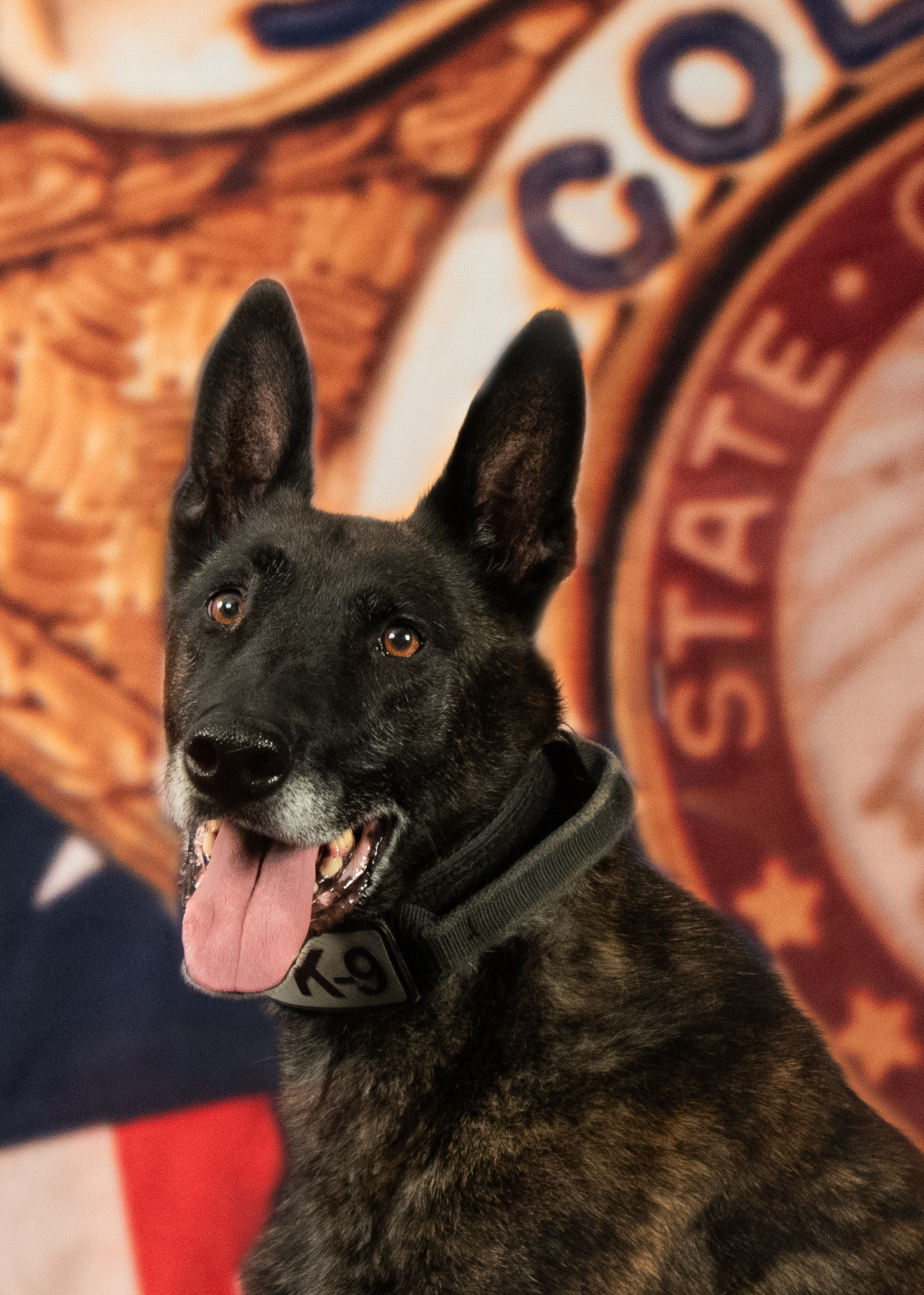 K9 Knox