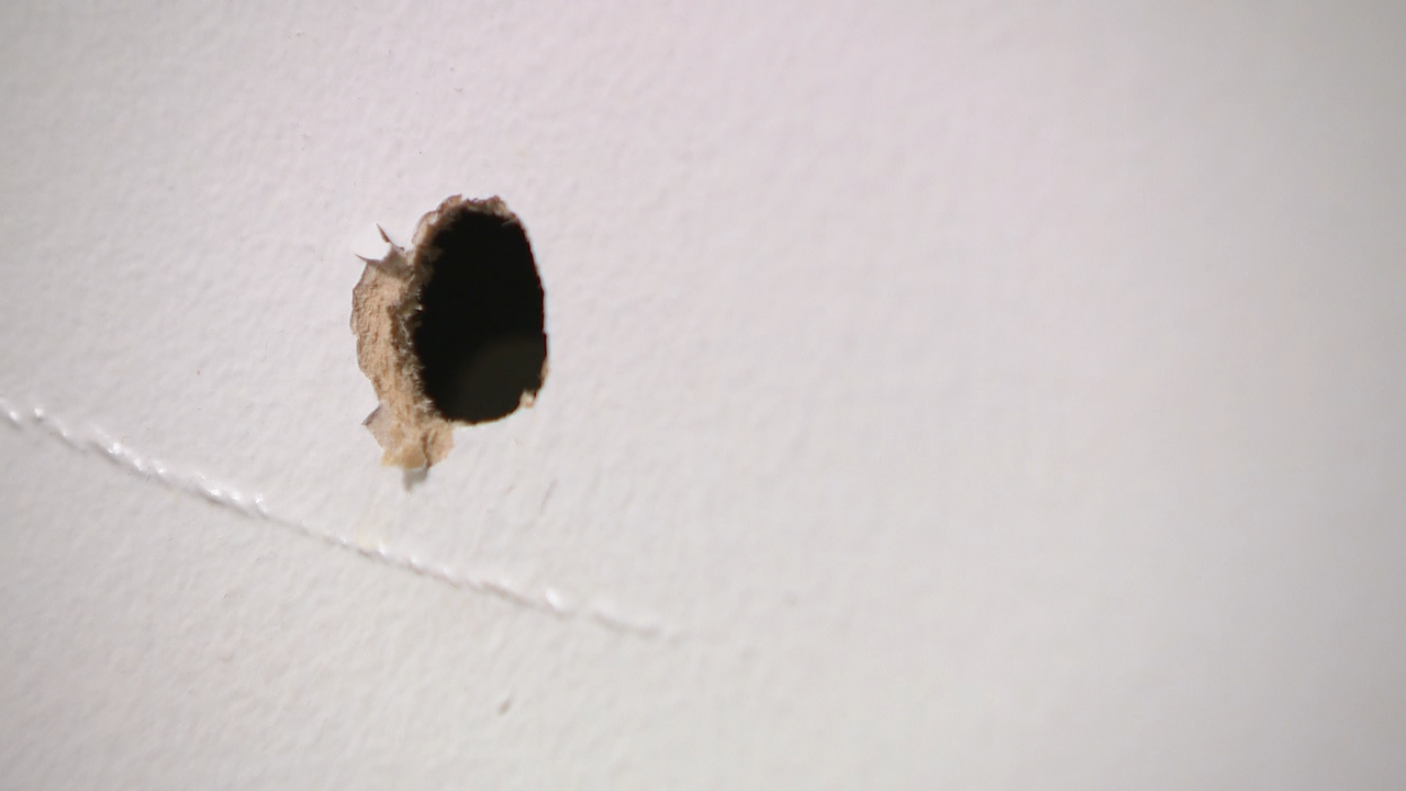 Bullet hole in apartment door