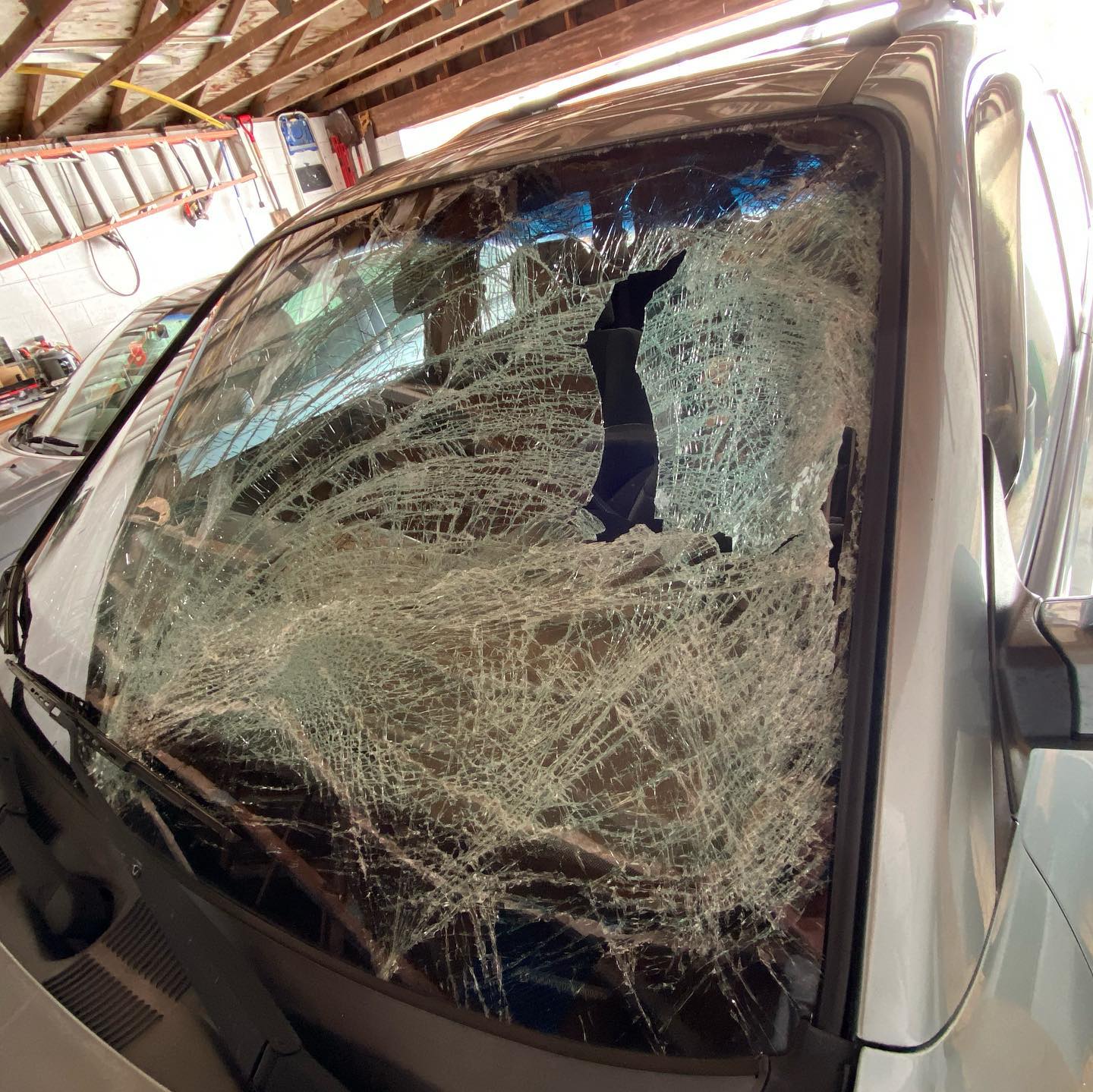 Shattered windshield.jpg