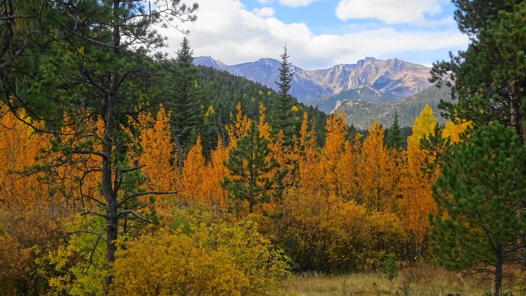Pikes Peak Highway 2021