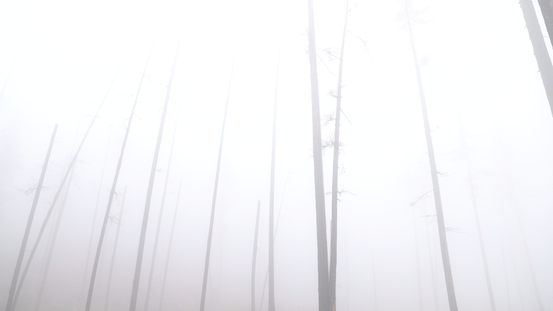 Burn scar off Highway 12