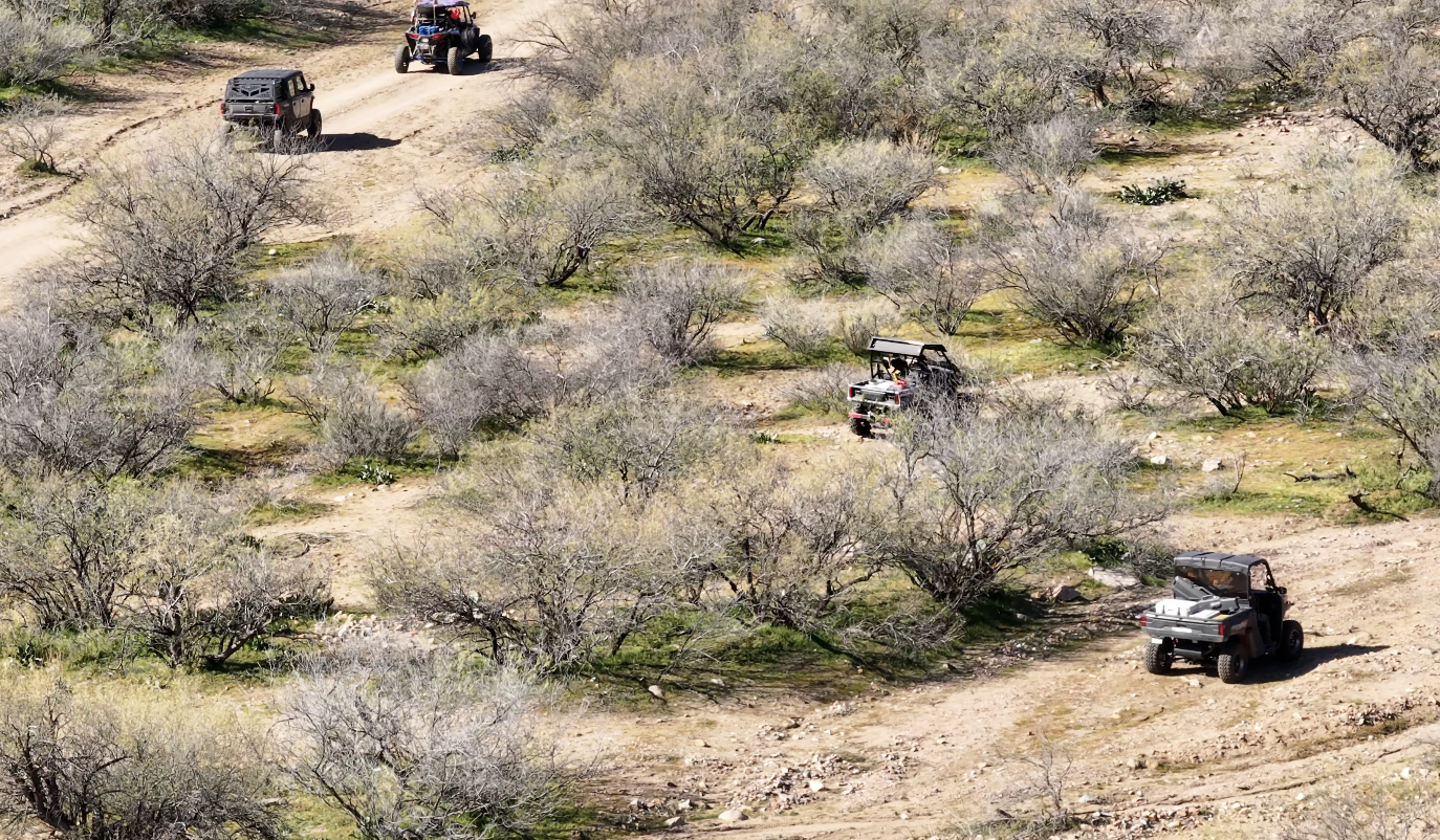 Gila County Comas Search 1-31-26