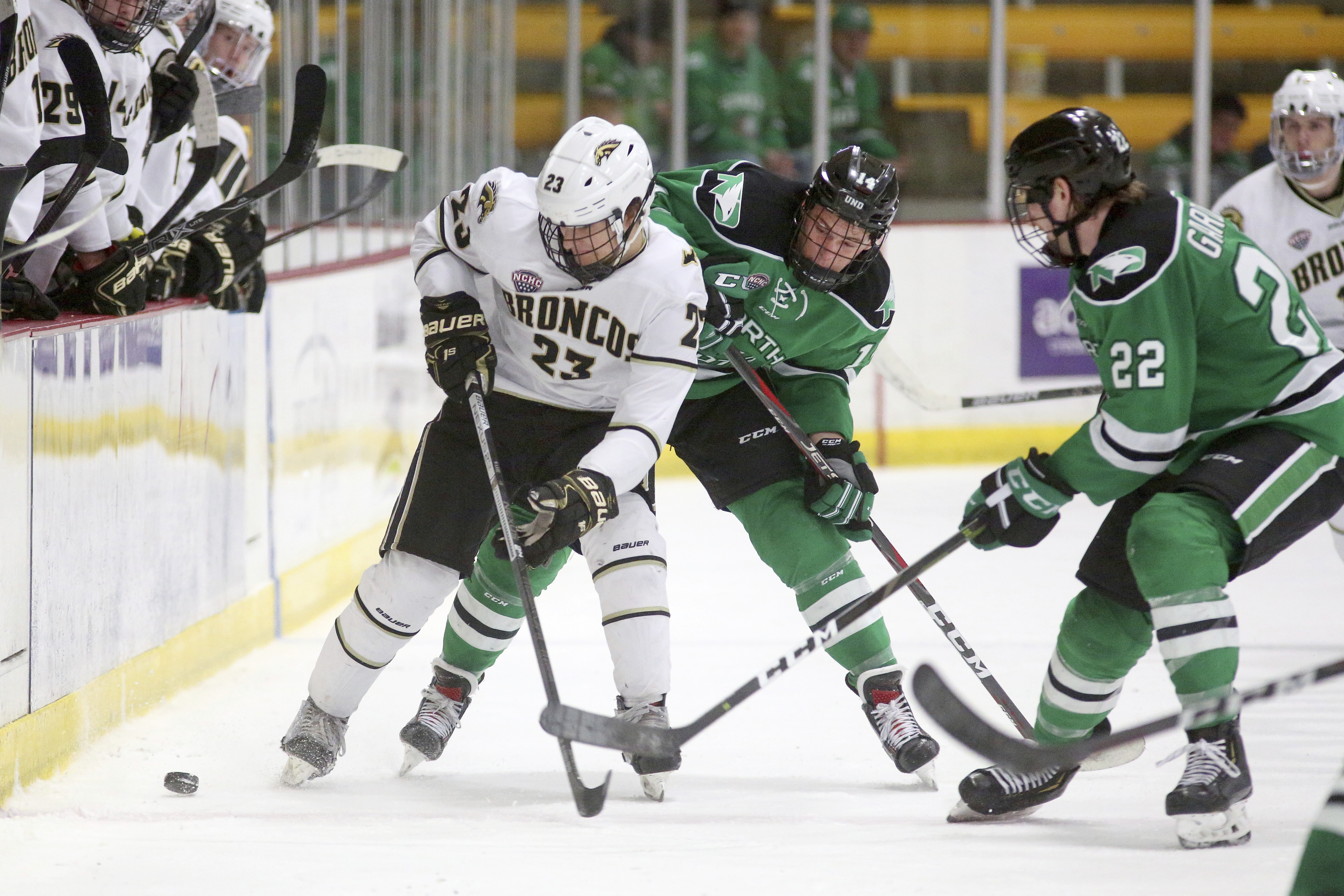 Expectations remain high for Western Michigan hockey despite a young roster