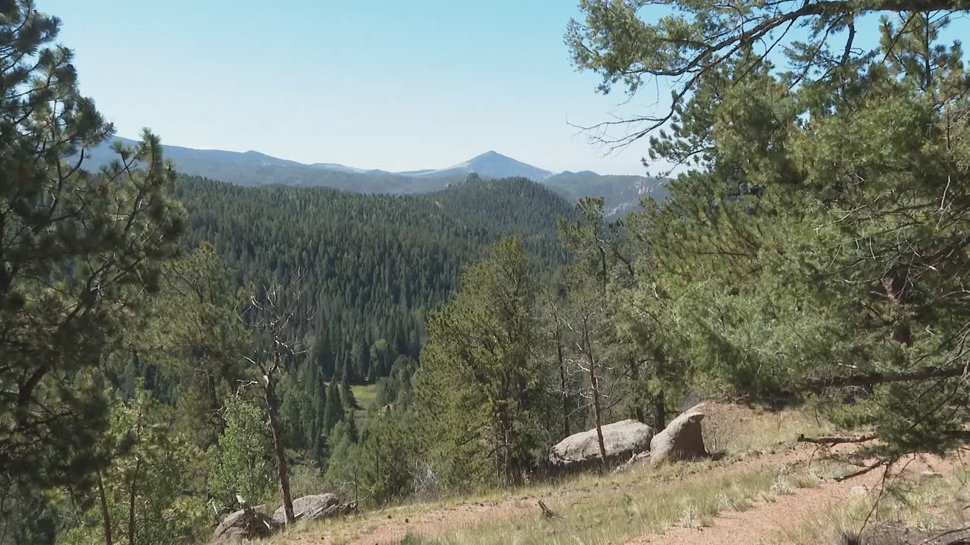 Mueller State Park