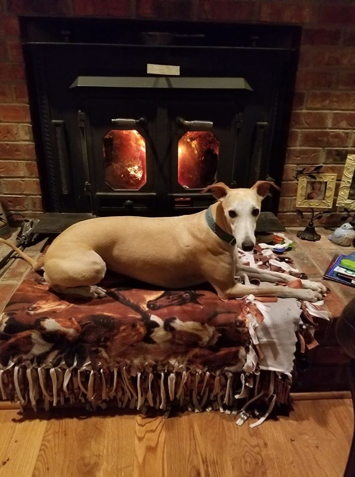 Kaycee - from Susan Matlock.jpg