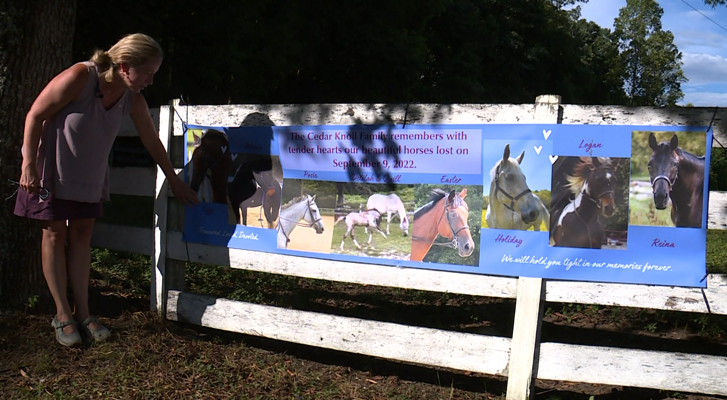 Owners mourn loss of horses killed in Hanover barn fire: 'It hurts'