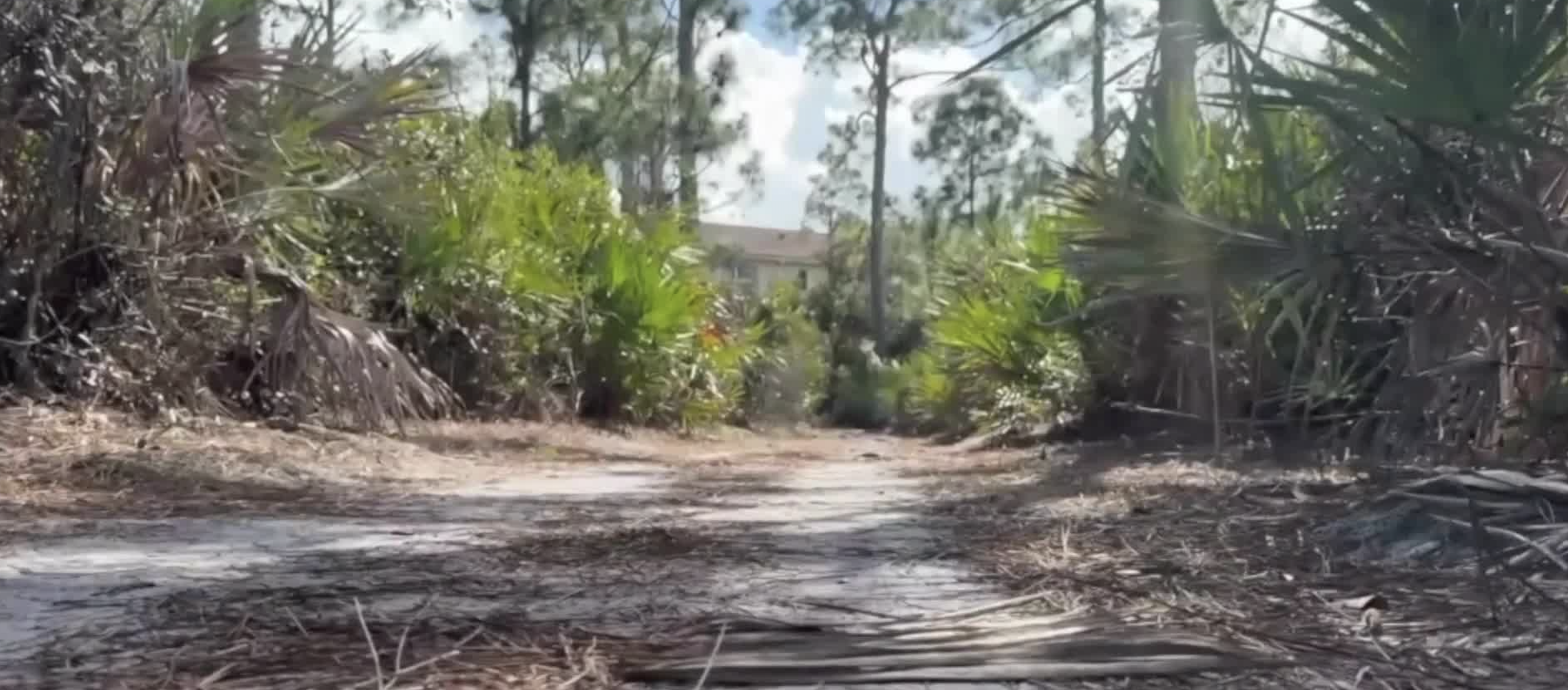 Martin County conservation efforts April 2026.png