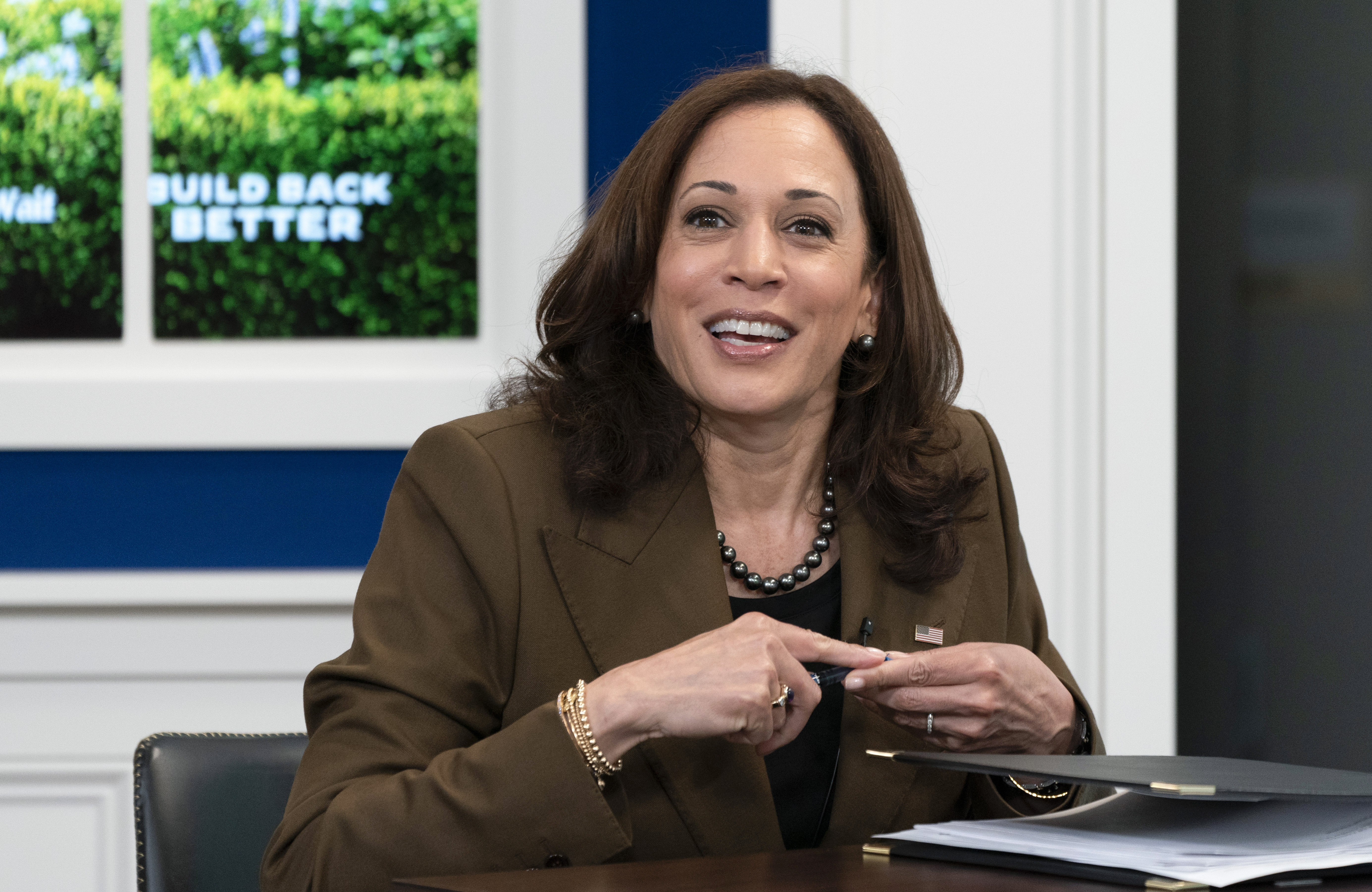 Kamala Harris, Tammy Duckworth