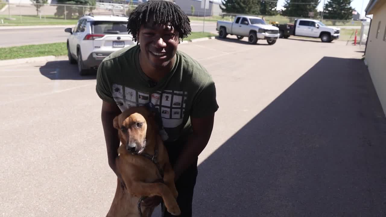 Big changes for Great Falls Animal Shelter
