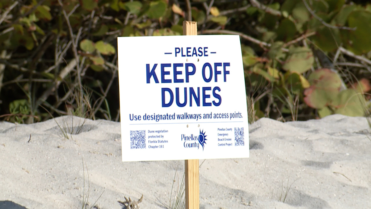 DUNES.jpg