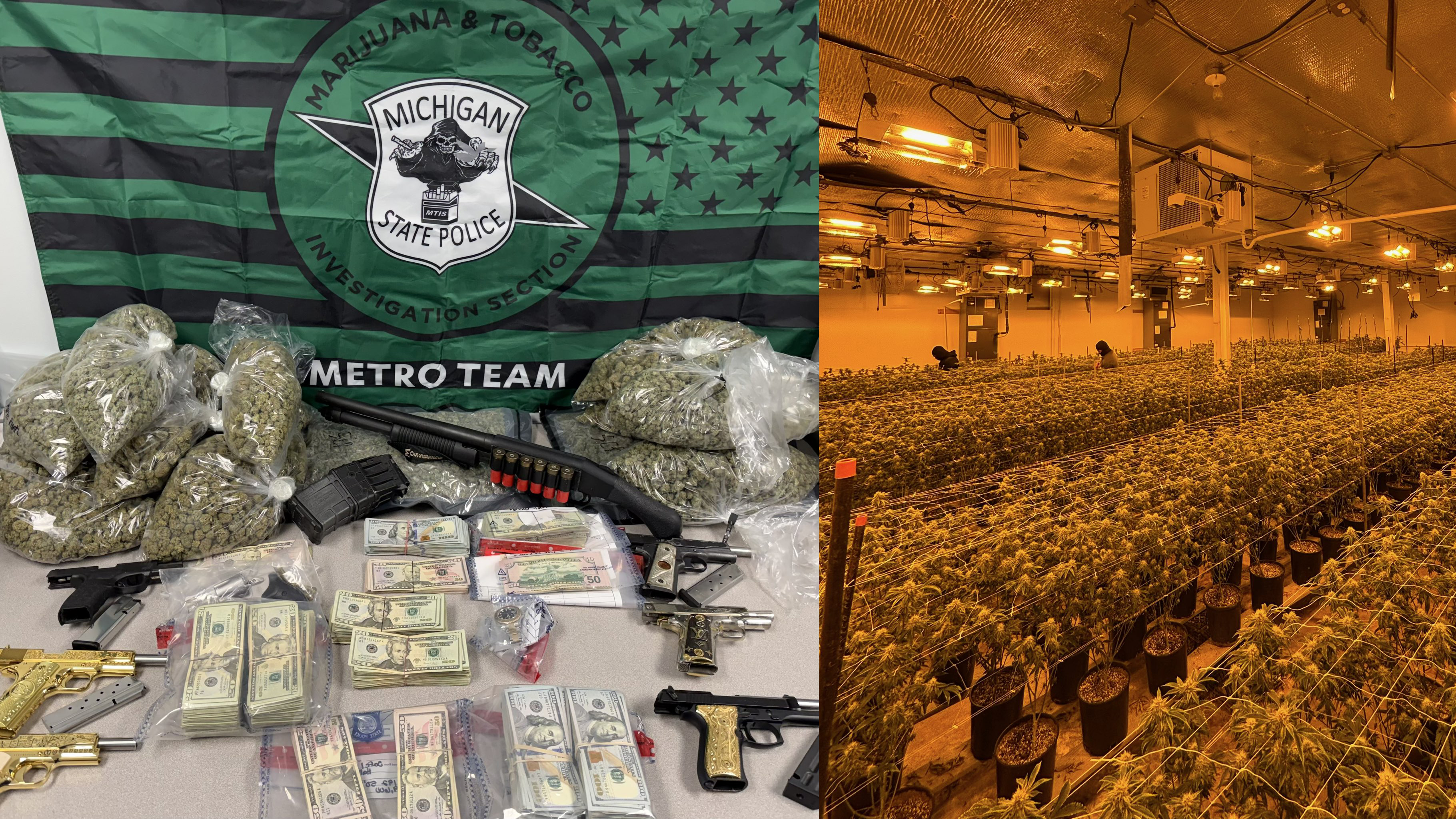 marijuana grow op.jpg