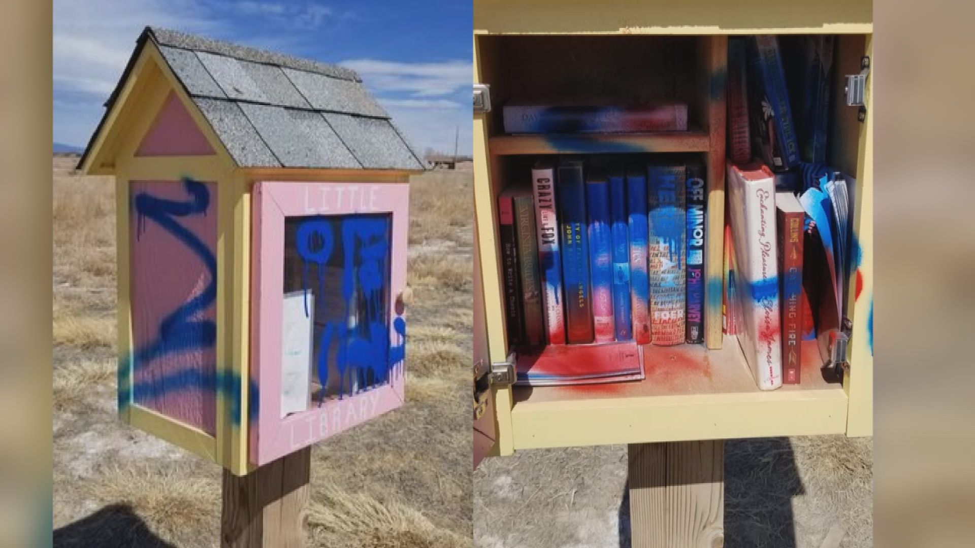 
Neighbors upset after vandals target ‘little library’

