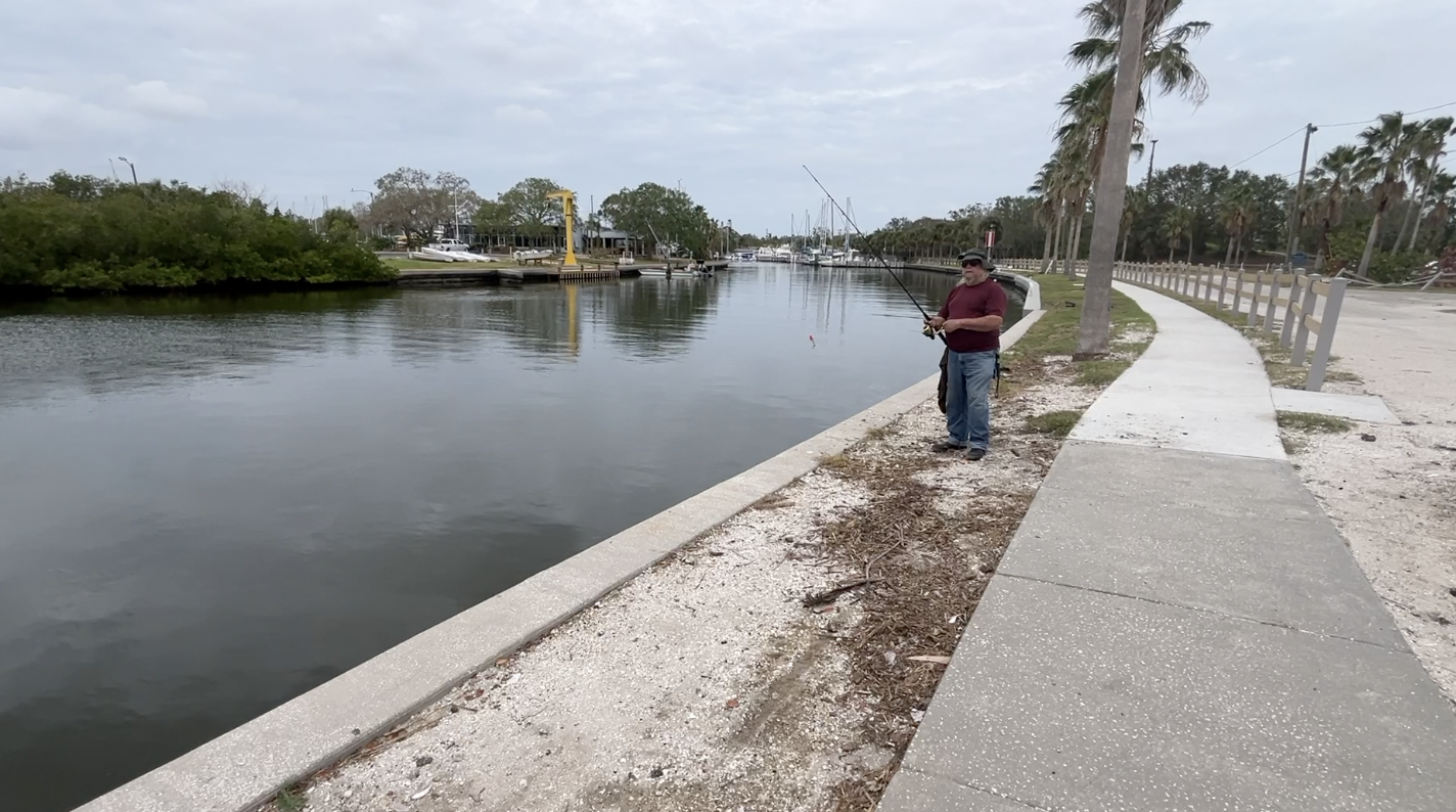 Water Quality Tampa Area