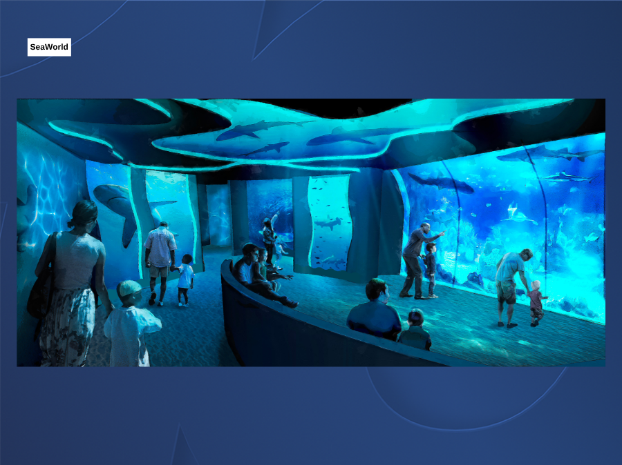 seaworld_shark_encounter_5.png