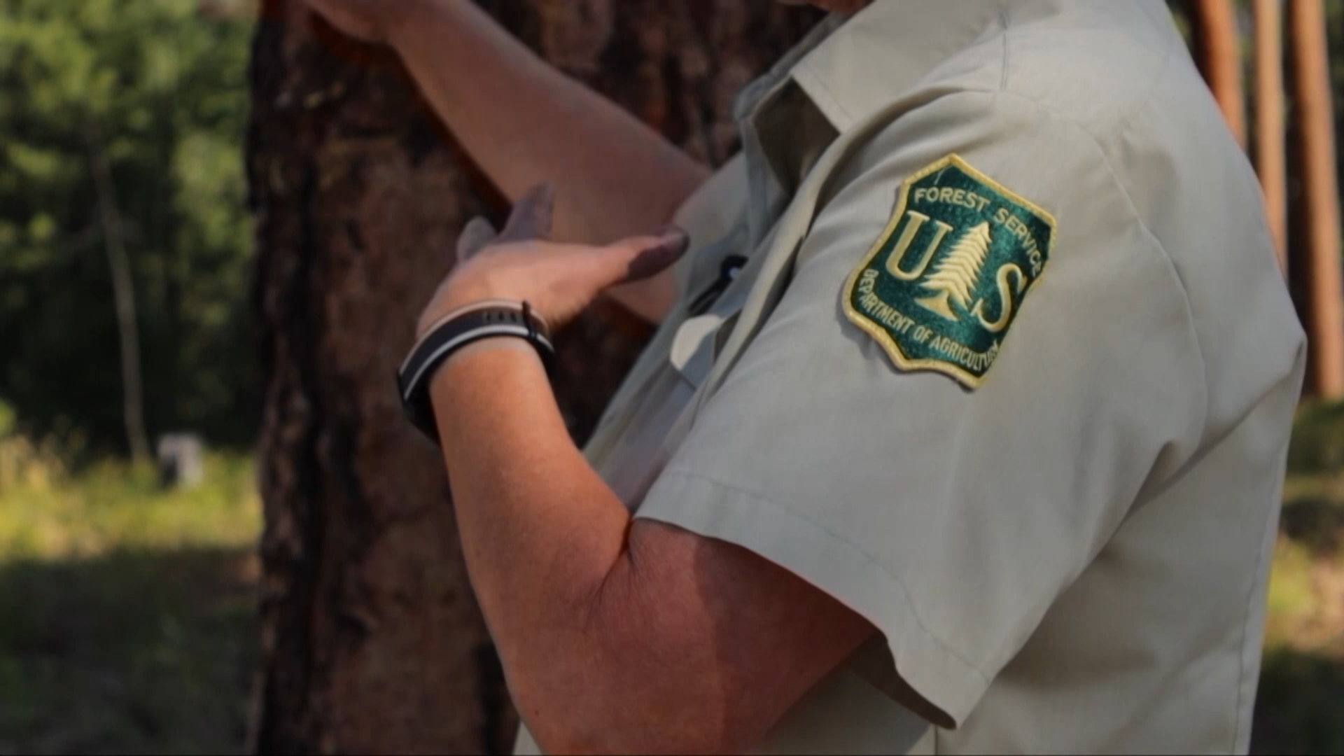 Layoffs leave Montana U.S. Forest Service workers devastated
