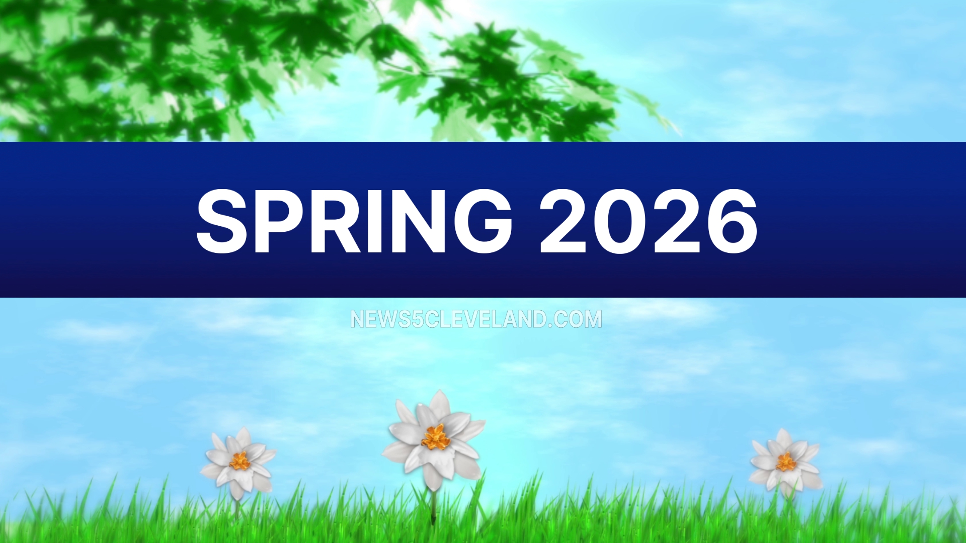 Spring 2026 Recap.jpg