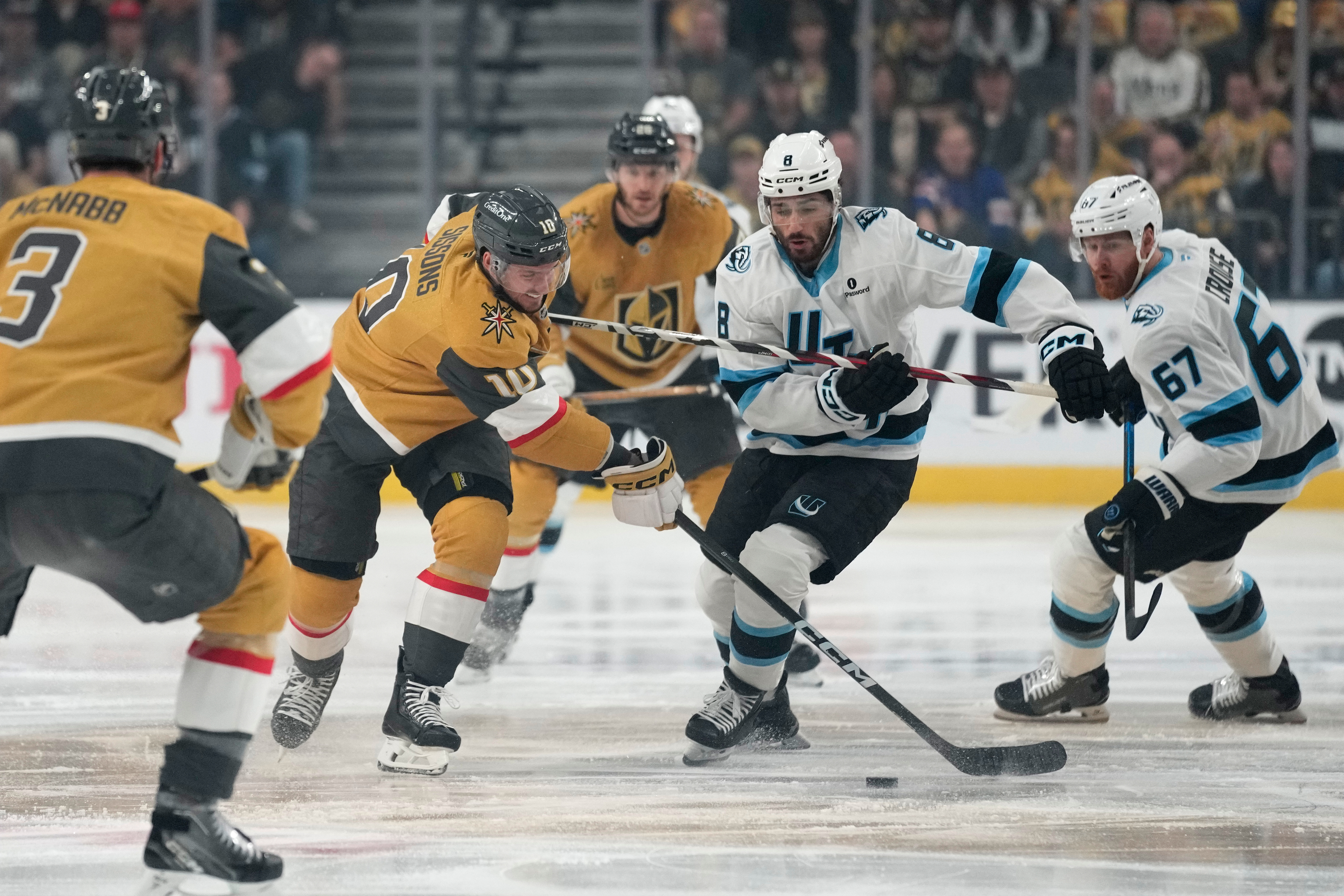 Mammoth Golden Knights Hockey