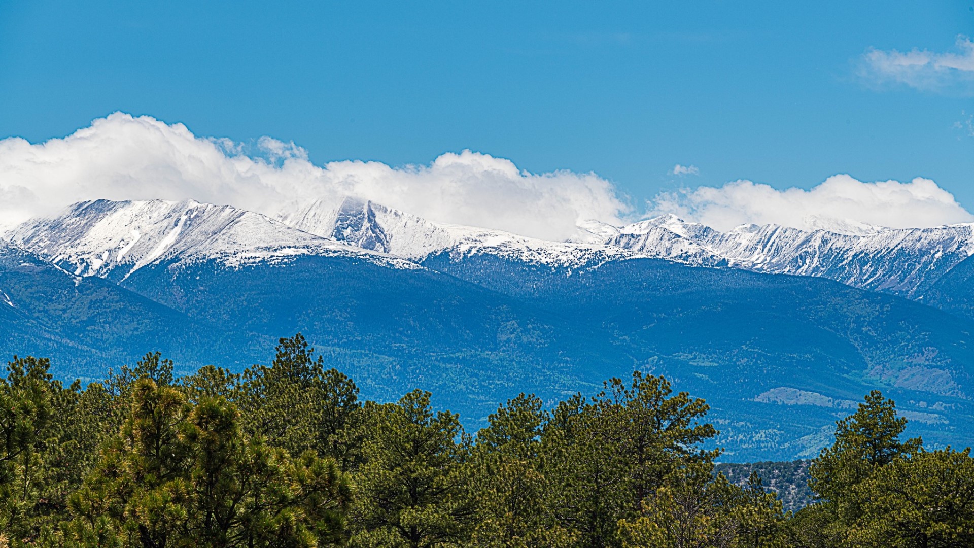 June snow on the Sangres