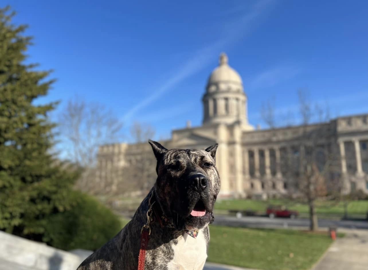 Ethan at capitol.jpg