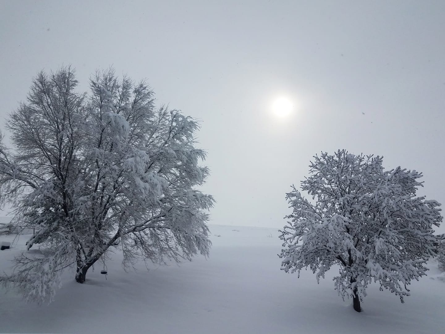 Boulder snow