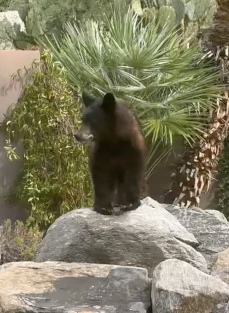 Screenshot 2025-09-26 at 4.36.58 PM.png