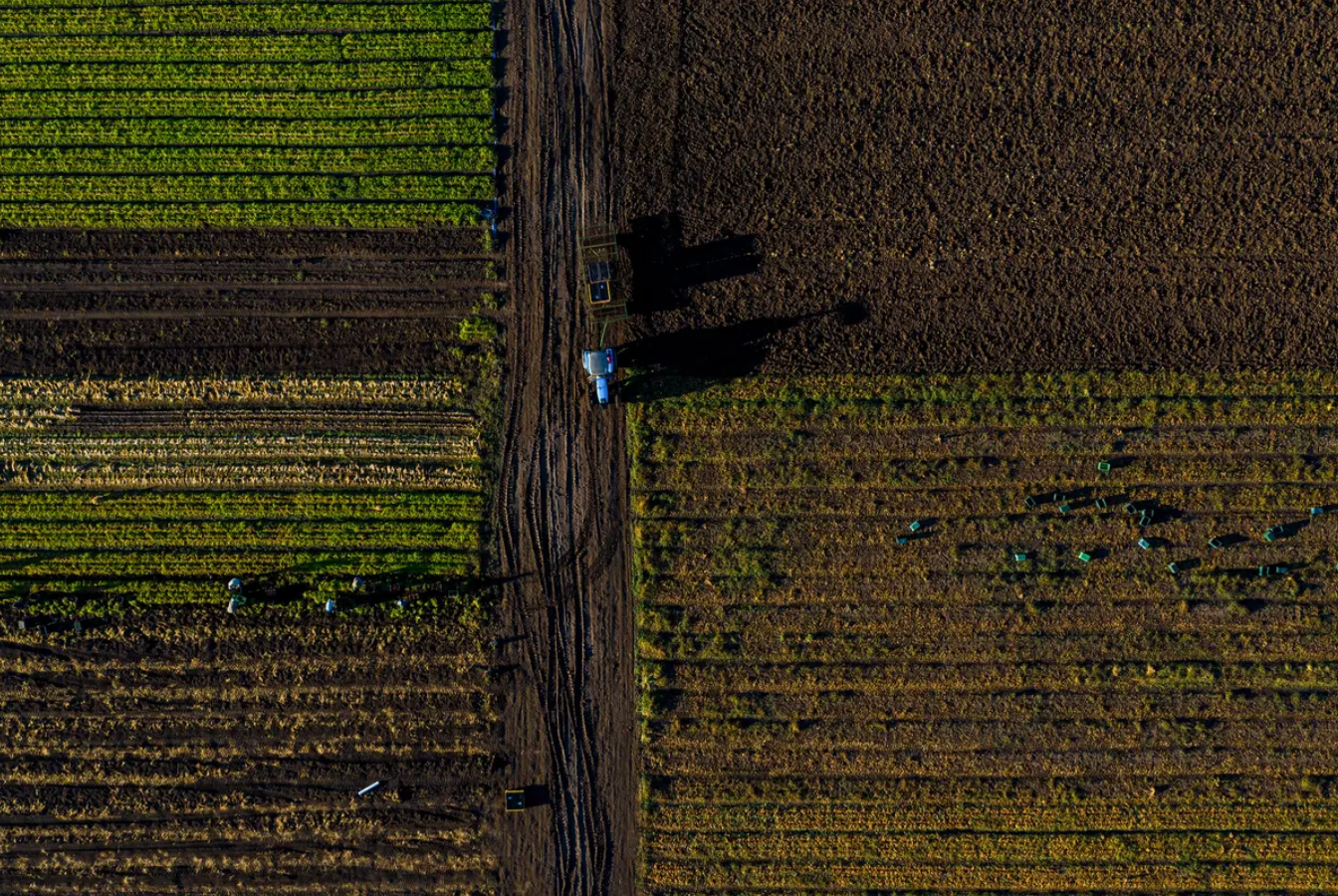 Texas farmland.PNG